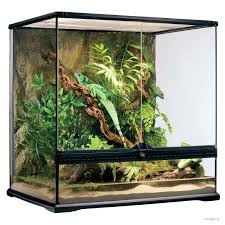 Exo Terra Glass Terrarium 60 x 45 x 45cm