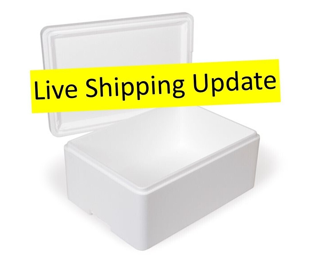 Live Shipping Updates Due to Public Hiolidays
